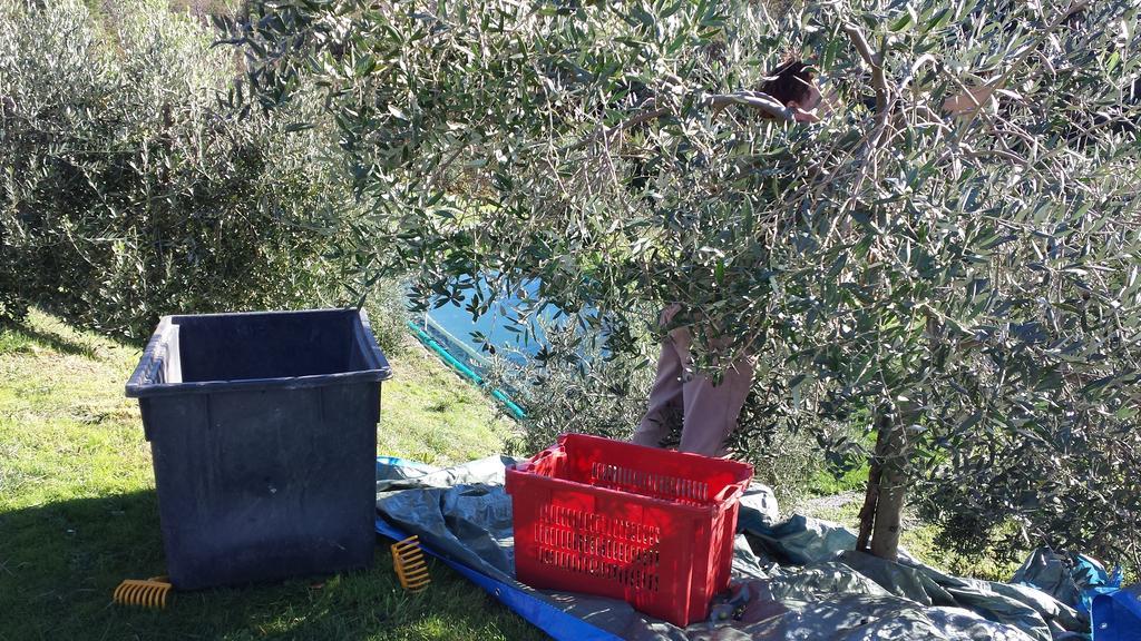 Sostio A Levante Framura Εξωτερικό φωτογραφία